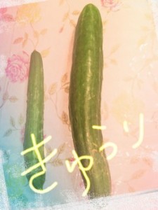 いただきもの！！